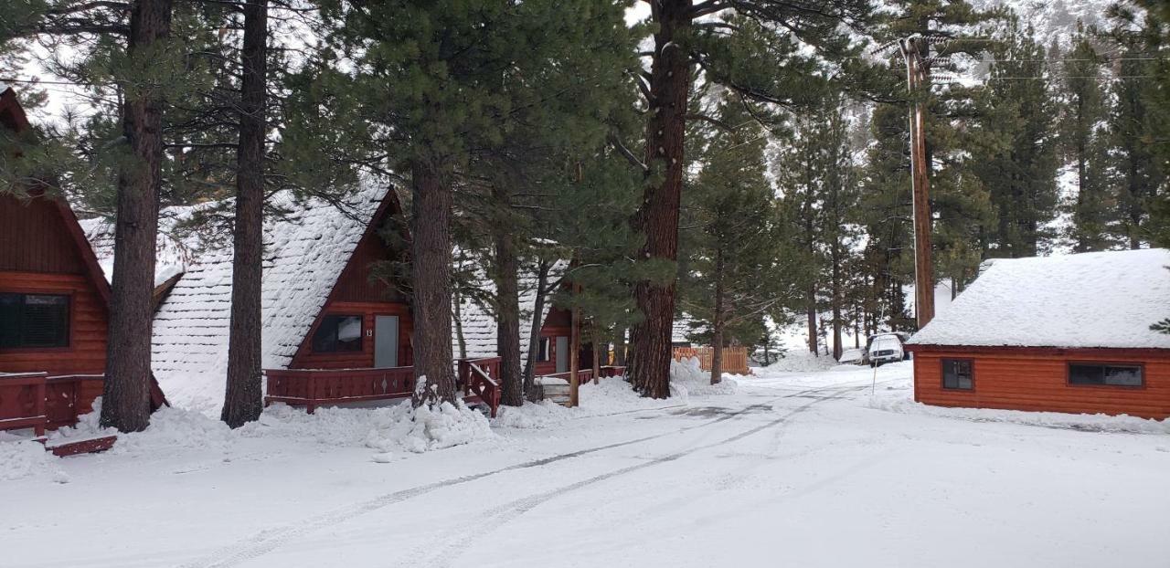 Reverse Creek Lodge จูนเลค ภายนอก รูปภาพ